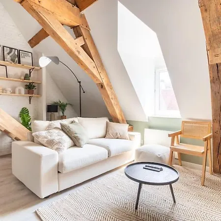 L'Elegant - Appartement Fonctionnel Plein-Centre De Douai Esterno foto